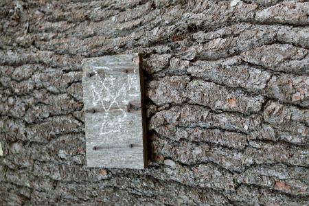 Symbols in the Woods